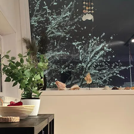 Modern At Vervet In Apartment