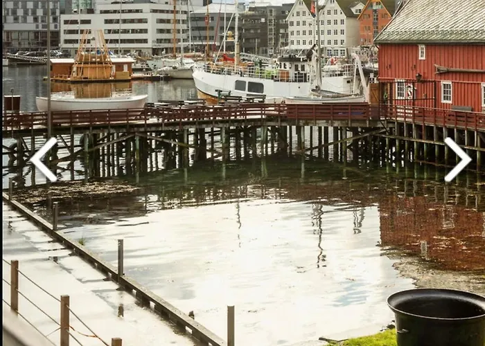 Modern At Vervet In * Tromso