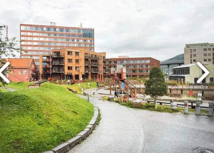 Modern At Vervet In * Tromso